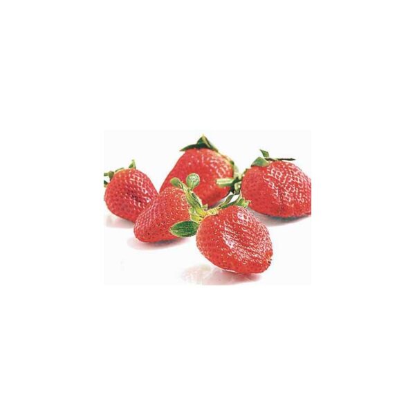 Frutilla