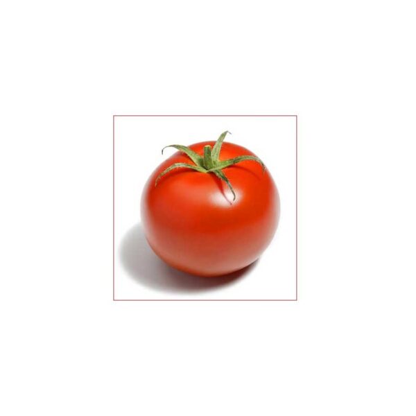 Tomate kg.