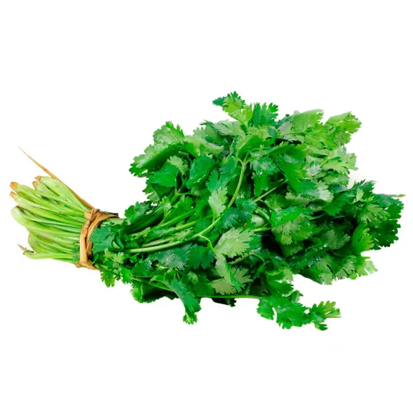 Cilantro Atado