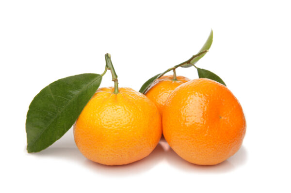 Mandarina Kg.